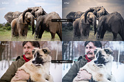 Seasonal Shades Lightroom Presets 1, a Preset Add-On by Design Panoply (Thumbnail 5 of 5)
