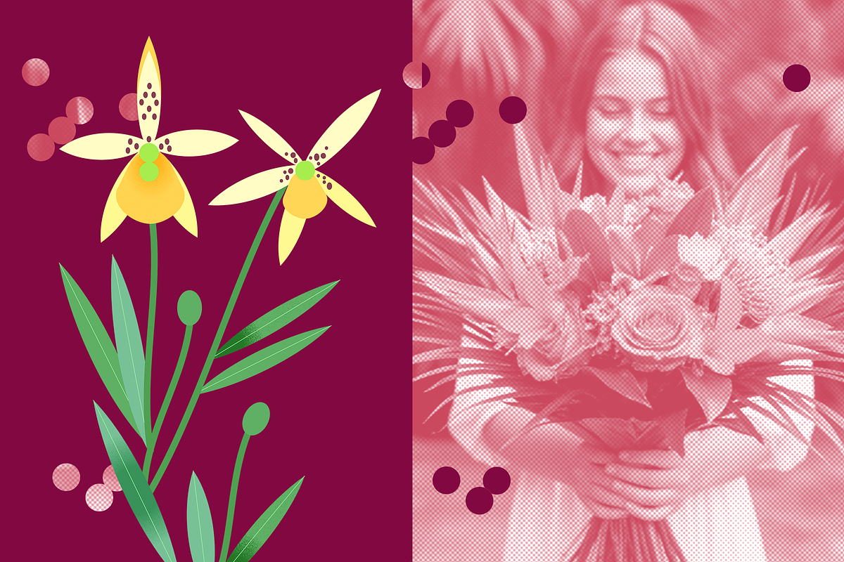 Summer flowers set – 87+ elements, a Decorative Illustration by Schumacher Shop (Photo 7 of 26)