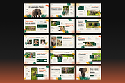 Animal Conservation Google Slides, a Presentation Template by Annora Studio (Thumbnail 3 of 7)