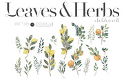 CRUISE - watercolor botany kit, a Texture Illustration by Kaleriia (Thumbnail 3 of 9)