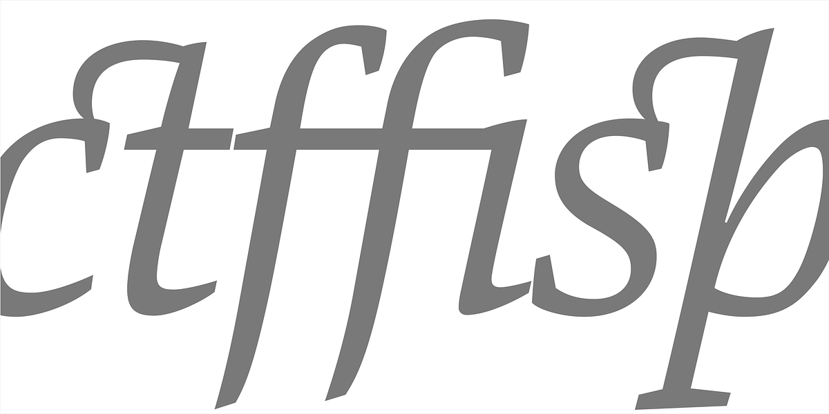 Danton, a Serif Font by Hoftype (Photo 9 of 15)