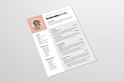 Resume CV Template, a Resume Template by Occy Design (Thumbnail 4 of 4)