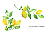 Watercolor Lemon Painting Bundle, an Illustration by Heartmade by Claudia (Thumbnail 4 of 4)