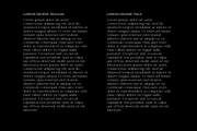 Lunévia Orliene Modern Serif, a Serif Font by Muksal Creative (Thumbnail 3 of 10)