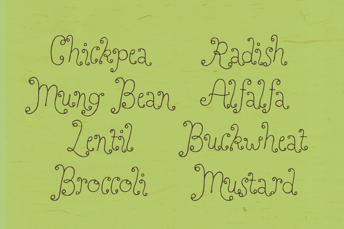Perfect Sprouts | Whimsical Font, a Handwritten Font by type peace (Photo 9 of 20)
