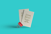 Tchotchke Serif, a Serif Font by Lori Goree (Thumbnail 2 of 5)