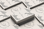 Bustra Script Pro, a Script Font by Alcode (Thumbnail 3 of 18)
