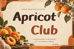 Apricot Club Bold Handwritten Brush