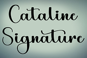 Vintage Magnolia, a Handwritten Font by FreshTypeINK (Thumbnail 4 of 8)