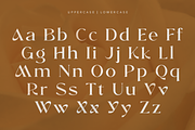 Windels - Elegant Serif Logo Font, a Serif Font by Pekotype (Thumbnail 3 of 15)