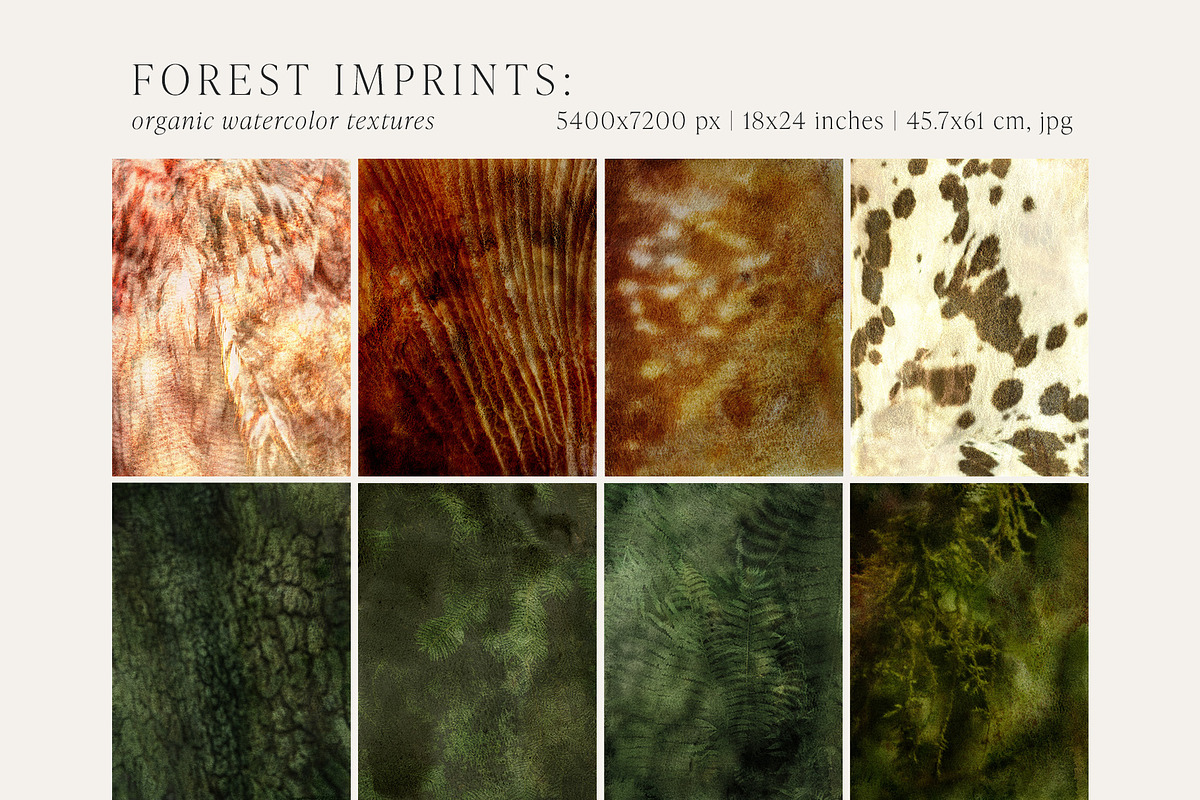 Forest Imprint Botanical backgrounds, a Background Graphic by Yuliya Derbisheva (Photo 8 of 11)