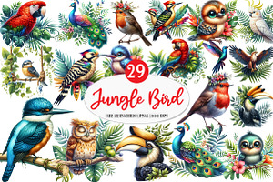 Tropical Bird Png, Jungle Birds png, an Illustration by Watercolor design