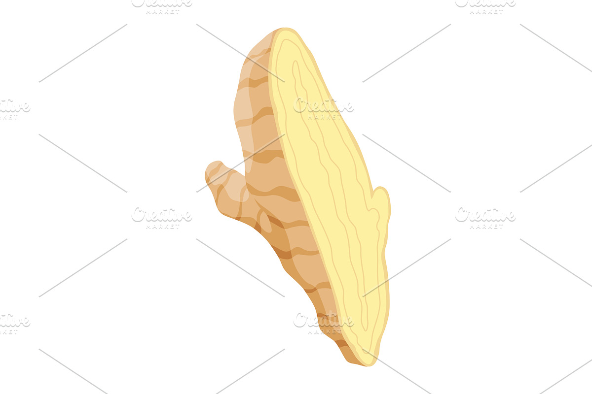 Ginger root. Aromatic herbal spice, a Food Illustration by the8monkey