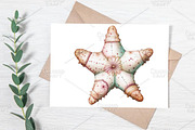 Whimsical Summer Starfish Clipart, an Illustration by Canvas Craft (Thumbnail 5 of 7)