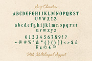 Vintage Market - Nostalgic Font Duo, a Serif Font by Sarid Ezra (Thumbnail 10 of 10)