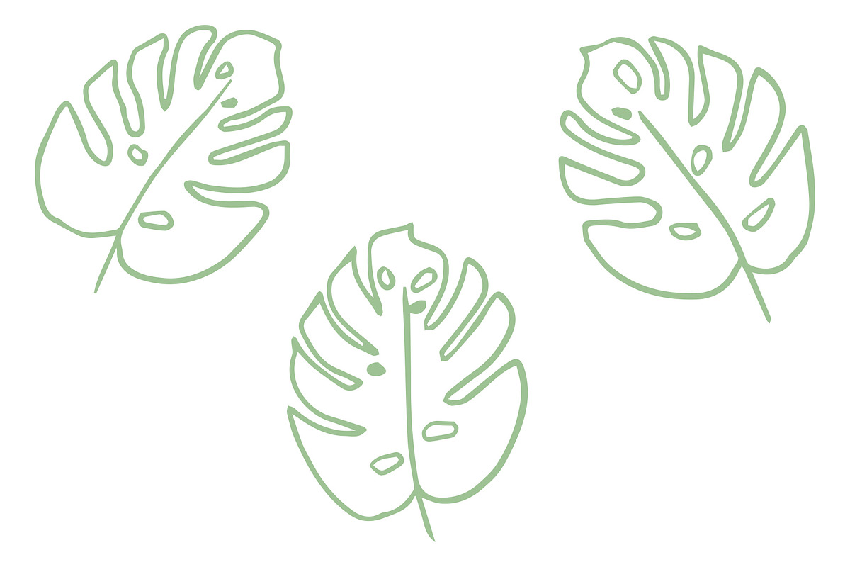 Vector Plant & Leaf Graphics, a Background Graphic by Dorey Kronick Art&Design (Photo 15 of 19)