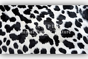 24 Animal Pattern Texture, a Background Graphic by NOMO DESIGN (Thumbnail 17 of 24)