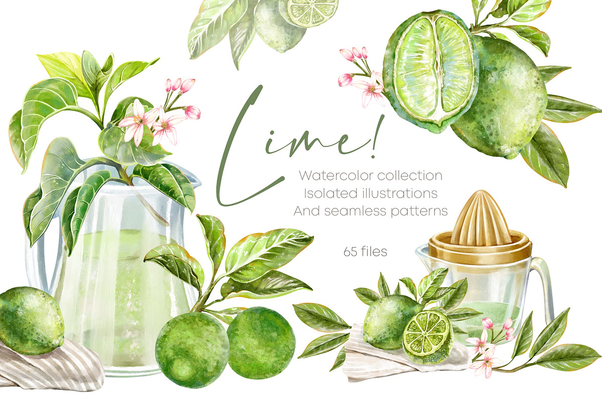 Lime! Watercolor clip art & patterns, a Food Illustration by Shabbypie (Photo 1 of 4)