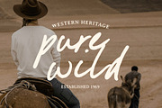 Busted Horizon Font, a Handwritten Font by Timurtype (Thumbnail 2 of 7)