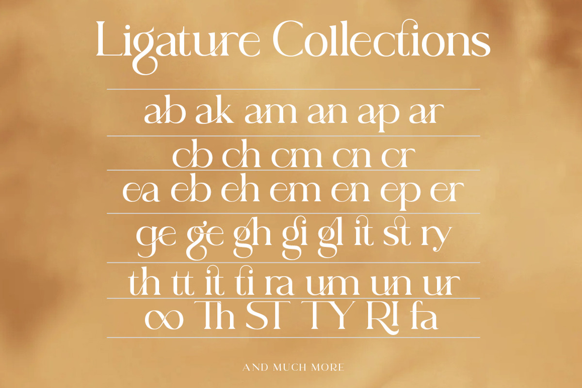 Sea Angel, a Serif Font by Zane Studio (Photo 8 of 10)