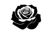 50 Black Rose Silhouette Vector Bund, an Illustration by Gaye Art (Thumbnail 4 of 51)