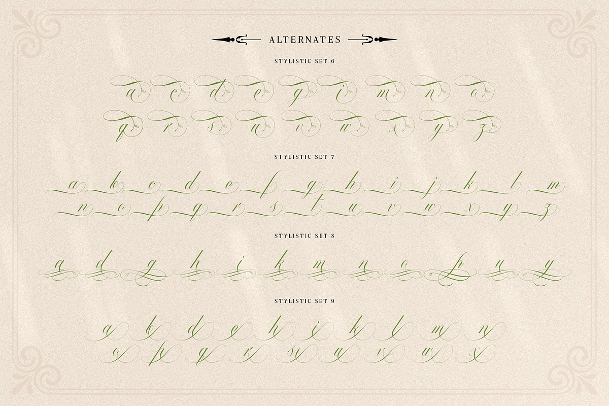 Mollani Nature Script, a Script Font by alit design (Photo 11 of 20)