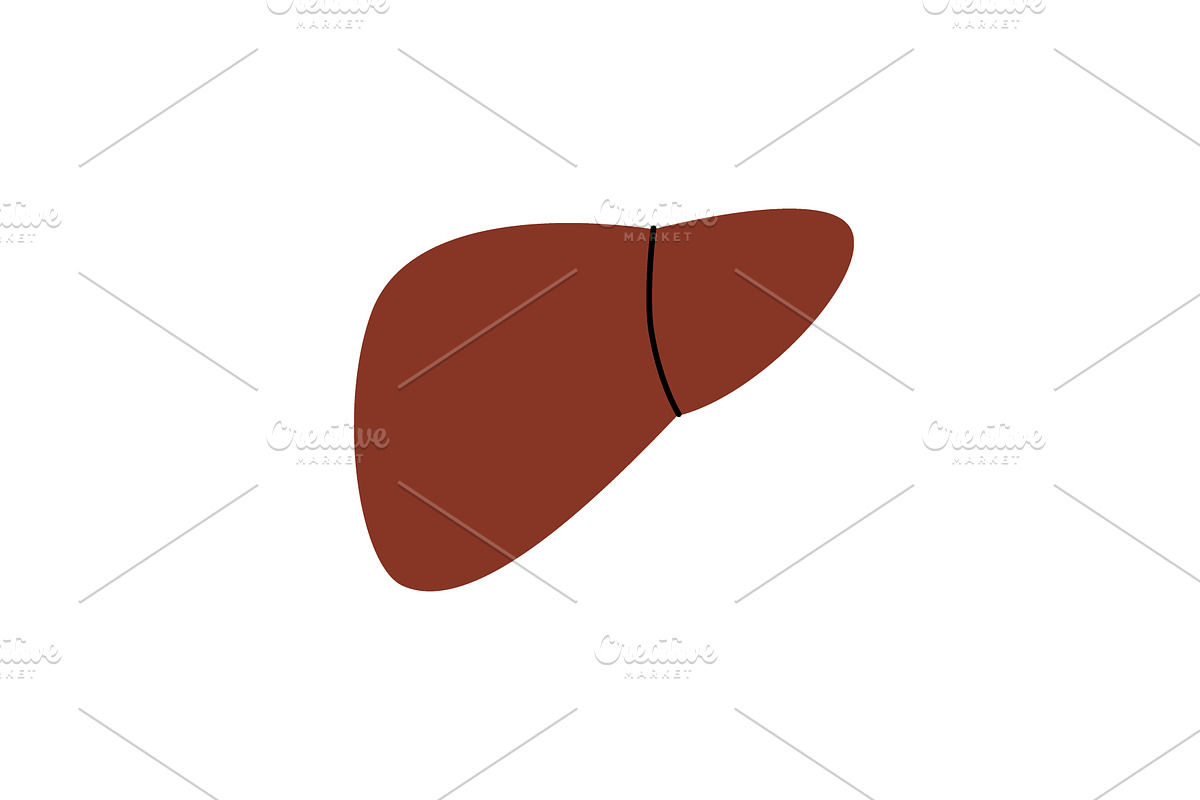 Liver. Human internal organ. Vector, a Healthcare Illustration by GraphiShop