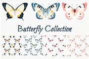 Boho Butterflies Collection, an Illustration by ArtIrisArt (Thumbnail 1 of 9)