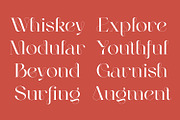 Mogen Serif Font, a Serif Font by Letteralle Studios (Thumbnail 4 of 11)