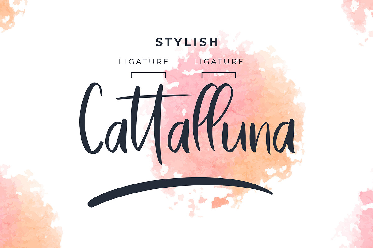 Bastelory Modern Script Font, a Script Font by Giant Design (Photo 2 of 10)