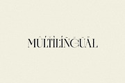BLACK EAGLE - Modern Display Serif, a Serif Font by Mikhail Fukurou (Thumbnail 8 of 8)