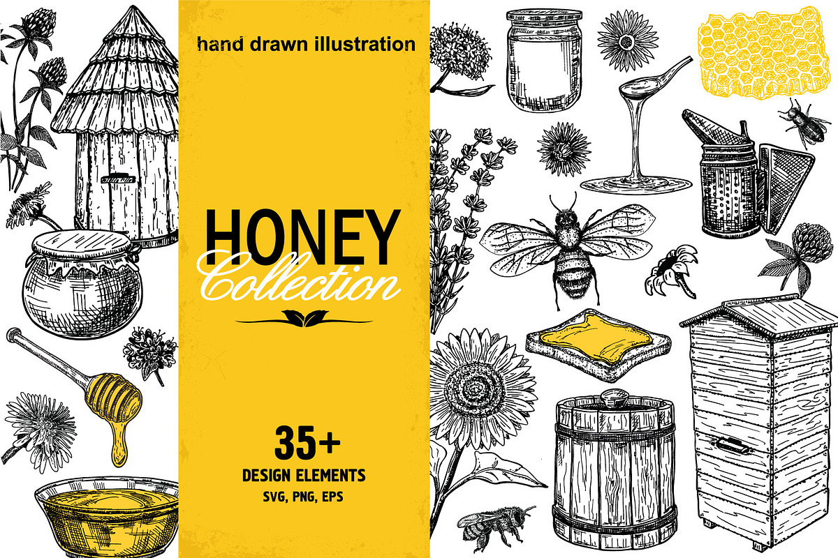 Hand drawn honey illustrations, an Illustration by Live line (Photo 1 of 5)