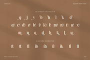 Collapse Elegant Serif Font, a Serif Font by Elegant Font (Thumbnail 8 of 8)