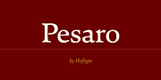 Pesaro, a Serif Font by Hoftype (Thumbnail 1 of 7)