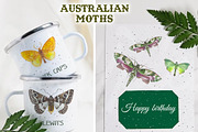 Australian Moths hand painted, an Animal Illustration by FITALARTSNEDIGI (Thumbnail 7 of 8)