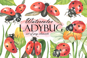 Watercolor Ladybug