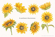 Sunflower Watercolor Illustrations, an Illustration by Fire Spark Studio (Thumbnail 3 of 10)