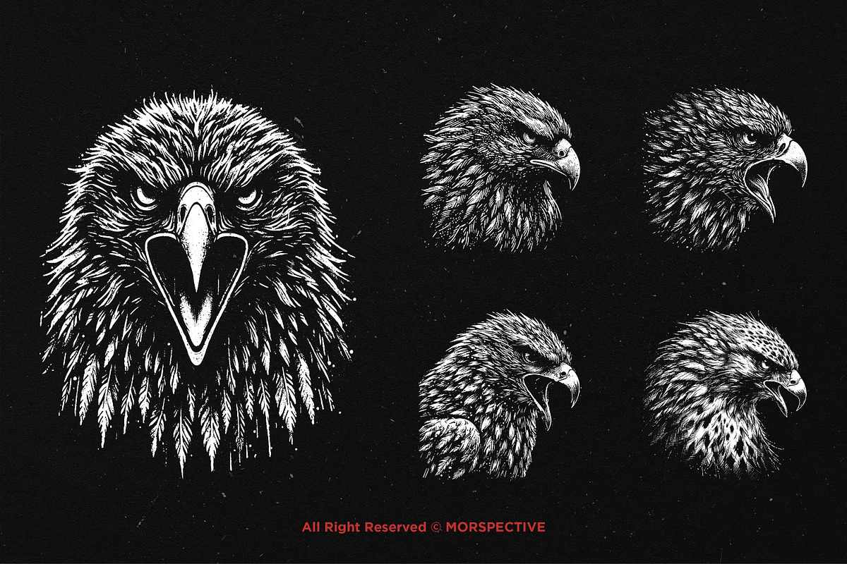 10 Bundle Dark Art Hawk Head Bird, an Illustration by Morspective (Photo 3 of 7)