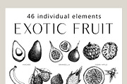 BUNDLE - Fruit & Berries Collection, a Food Illustration by Yevheniia (Thumbnail 7 of 9)
