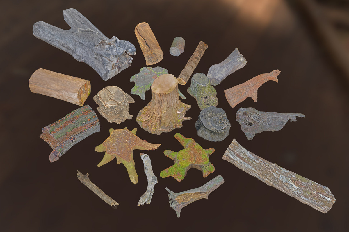 Forest Elements, an Environmental 3D Model by Beatheart Creative Studio (Photo 16 of 25)