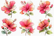 Whimsical Spring Hibiscus Flowers, an Illustration by Craft Nest (Thumbnail 3 of 11)