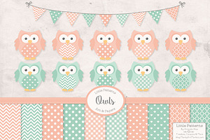 Mint & Peach Owl Clipart & Papers, an Animal Illustration by Amanda Ilkov