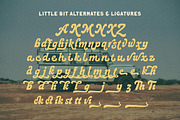 Melody Groove Bold Script, a Script Font by Letterhend Studio (Thumbnail 5 of 9)