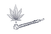 Weed. Stoner gadgets & accessories, a Healthcare Illustration by Margo Miller (Thumbnail 21 of 45)