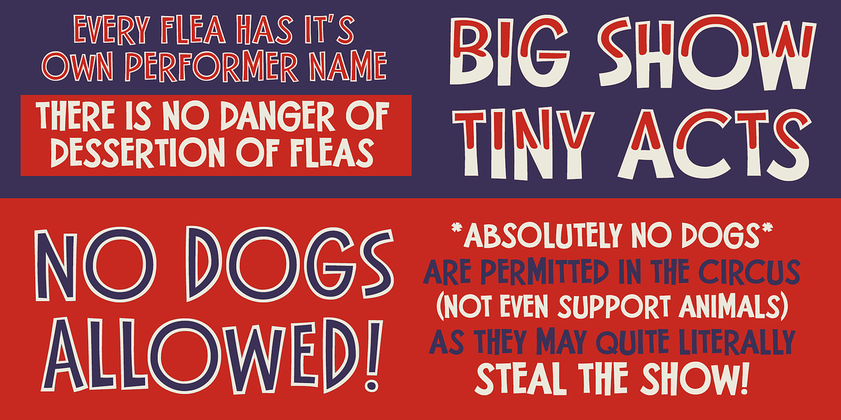 Flea Circus, a Sans Serif Font by One Eyed Squid (Photo 4 of 6)