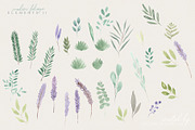 Handmade Foliage watercolour herbs, an Illustration by January Bloom (Thumbnail 10 of 13)