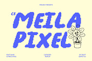 CS Meila Pixel, a Handwritten Font by Craft Supply Co. (Thumbnail 1 of 8)