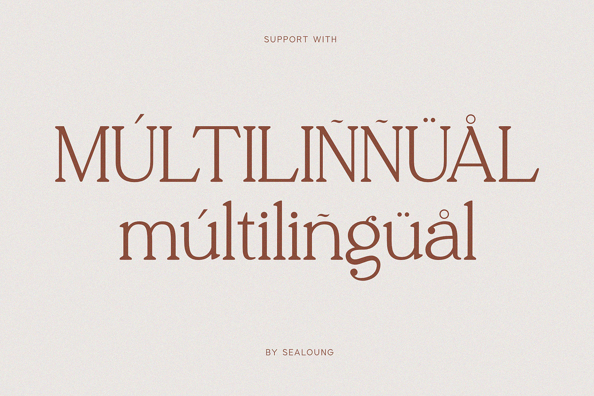 Thaknus, a Serif Font by Sealoung (Photo 11 of 19)
