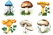 Rustic Spring Mushrooms Clipart, an Illustration by SinaCreation (Thumbnail 5 of 5)