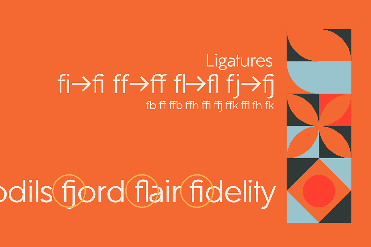 Gambit FD Neue, a Sans Serif Font by FontDuo (Photo 5 of 11)